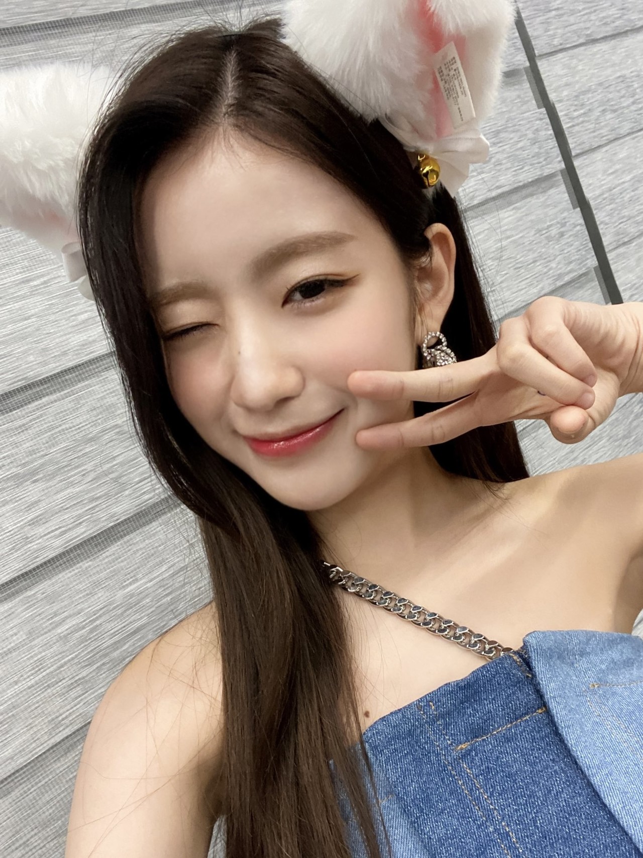 우아! 우연, 진멍이네 사랑스러운 냥이들을 소개합니다